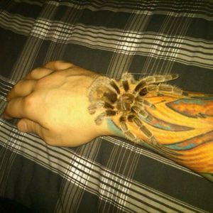 Meet your Posher, Corey